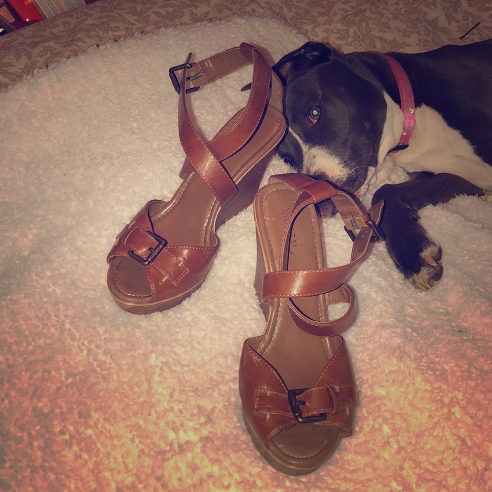 Light Brown Wedges